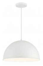  6203-44 - 1 LIGHT HANGING DOME