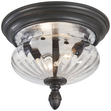  9909-94 - 2 Light Outdoor Flush Mount