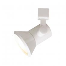  NTH-124W - CONE PAR20 WHITE