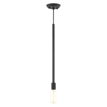  45831-04 - 1 Lt Black Pendant