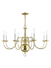  5007-02 - 8 Light Polished Brass Chandelier