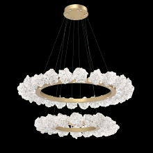  CHB0059-2B-GB-BC-CA1-L1 - Two Tier Blossom Ring Chandelier - 2B-Gilded Brass