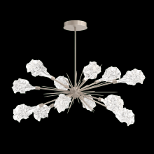  PLB0059-0A-GB-BC-001-L1 - Blossom Oval Starburst - 0A 30"