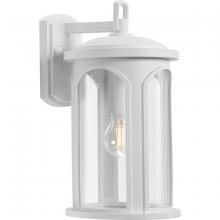  P560088-028 - Gables Collection One-Light Coastal Satin White Outdoor Wall Lantern with DURASHIELD