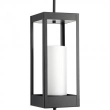  P550024-031 - Patewood Collection One-Light Hanging Lantern