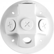  P6343-28 - Security Light Back Plate