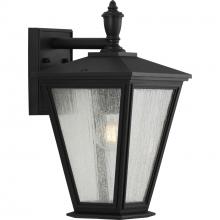  P560167-031 - Cardiff Collection One-Light Medium Wall Lantern with DURASHIELD