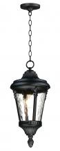  3058WGBK - Sentry-Outdoor Hanging Lantern