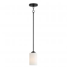  90030SWBK - Deven-Suspension Pendant