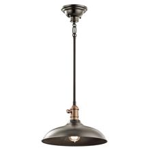  42580OZ - Pendant/Semi Flush 1Lt