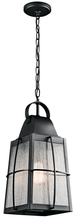  49556BKT - Outdoor Pendant 1Lt