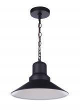  ZA5411-MN - Singleton 1 Light 14" Outdoor Pendant in Midnight