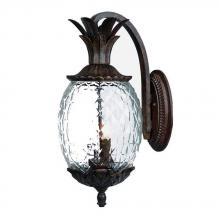  7502BC - Lanai Collection Wall-Mount 2-Light Outdoor Black Coral Light Fixture