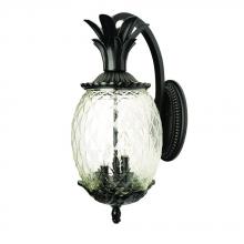  7502BK - Lanai Collection Wall-Mount 2-Light Outdoor Matte Black Light Fixture