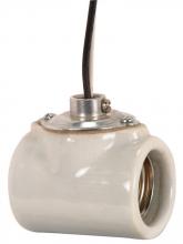  80/1314 - Twin Porcelain Socket With Flange Bushing Cap; 1/8 IPS; 9" AWM B/W 150C; CSSNP Screw Shell;