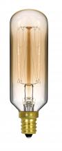  S2420 - 40 Watt T9 Incandescent; Clear Gold; 3000 Average rated hours; 160 Lumens; Candelabra base; 120 Volt