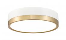  1006F12-MW-MGLD-LED - 1 Light Flush Mount