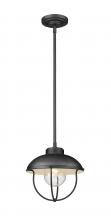  590P-BK - 1 Light Outdoor Pendant