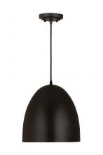  6012P12-SBK - 1 Light Pendant