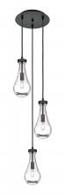  113-451-1P-BK-G451-5CL - Owego - 3 Light - 13 inch - Matte Black - Multi Pendant