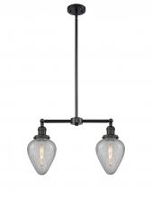  209-BK-G165 - Geneseo - 2 Light - 21 inch - Matte Black - Stem Hung - Island Light