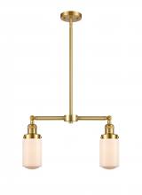  209-SG-G311 - Dover - 2 Light - 21 inch - Satin Gold - Stem Hung - Island Light