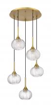  323-5P-BB-G323-7CL - Berkshire - 5 Light - 20 inch - Brushed Brass - Cord Hung - Multi Pendant