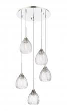  323-5P-PN-G323-6CL - Berkshire - 5 Light - 19 inch - Polished Nickel - Cord Hung - Multi Pendant