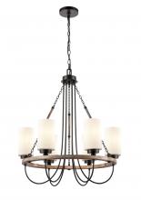  442-6CR-BK-G4421 - Paladin - 6 Light - 25 inch - Matte Black - Chain Hung - Chandelier