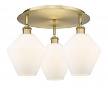  516-3C-BB-G651-8 - Cindyrella - 3 Light - 20 inch - Brushed Brass - Flush Mount