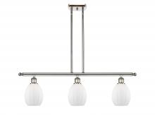  516-3I-PN-G81 - Eaton - 3 Light - 36 inch - Polished Nickel - Cord hung - Island Light