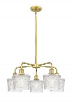  516-5CR-SG-G402 - Niagara - 5 Light - 25 inch - Satin Gold - Chandelier