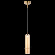  C30601AGAM - Bambu Pendant