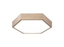  M12614OR - Hexol Ceiling Mount