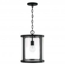  344911BI - 1 Light Pendant