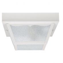  9939BK - 2 Light Outdoor Flush Mount