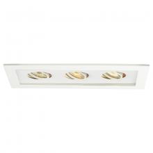 WAC Lighting MT-316-WT/WT - Low Voltage Multiple Two Light Trim