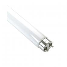 Fluorescent Light Bulbs