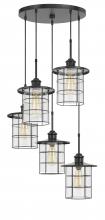  FX-2668-5P - 60W x 5 Silverton metal/glass pendant fixture (Edison bulbs included)