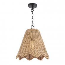  17-1029NAT - Coastal Living Summer Outdoor Pendant Small (Wea