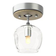  121372-SKT-82-86-ZM0709 - Ume 1-Light Semi-Flush