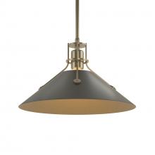  134550-SKT-MULT-84-10 - Henry Medium Steel Shade Pendant