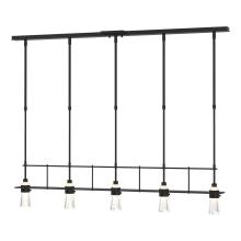  137725-SKT-STND-10-ZM0343 - Erlenmeyer 5 Light Pendant