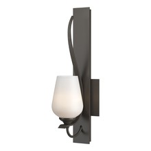  203035-SKT-07-GG0303 - Flora Sconce