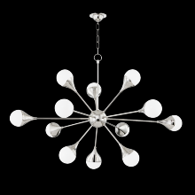  H375812-PN - Ariana Chandelier