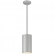  29007-SAT-C - Pendant