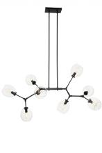  P1368-66A - 8 LIGHT CHANDELIER