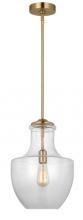  P1461SB - One Light Pendant