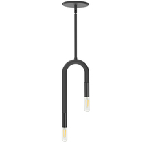  WAN-152P-MB - 2LT Incandescent Pendant, MB