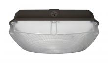  65/145 - LED Canopy Light - 40W - 5000K - Bronze Finish - 120-277V